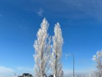 こんにちは☀️⛄️