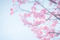前回のお礼です💌 ̖́-