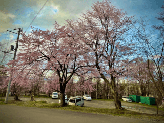 deco_grdr0025866089_0565270981_01_1.png